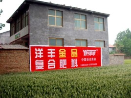 凤县如何让墙体广告展现最大化效果