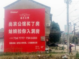 凤县墙体广告在乡镇、农村市场的媒体优势