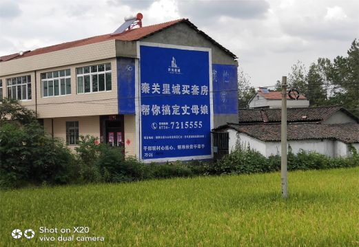 凤县决定墙体广告价格的因素有哪些?